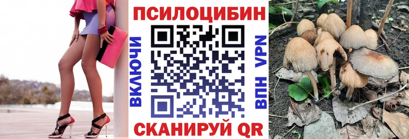 Псилоцибиновые грибы прущие грибы  Купить закладки  Буй 